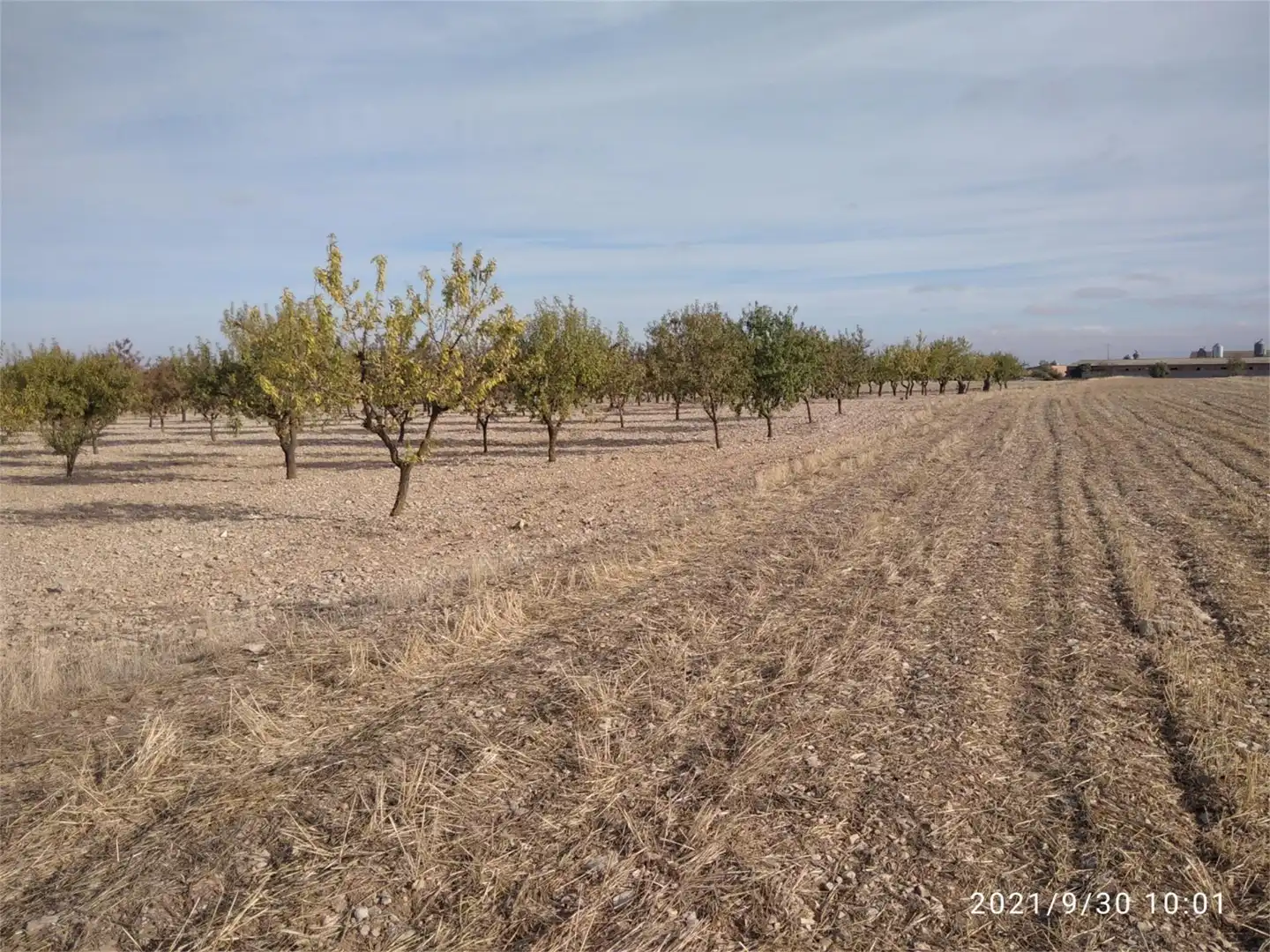 Land for sale in LV-2014, Maldà Land for sale in Maldà