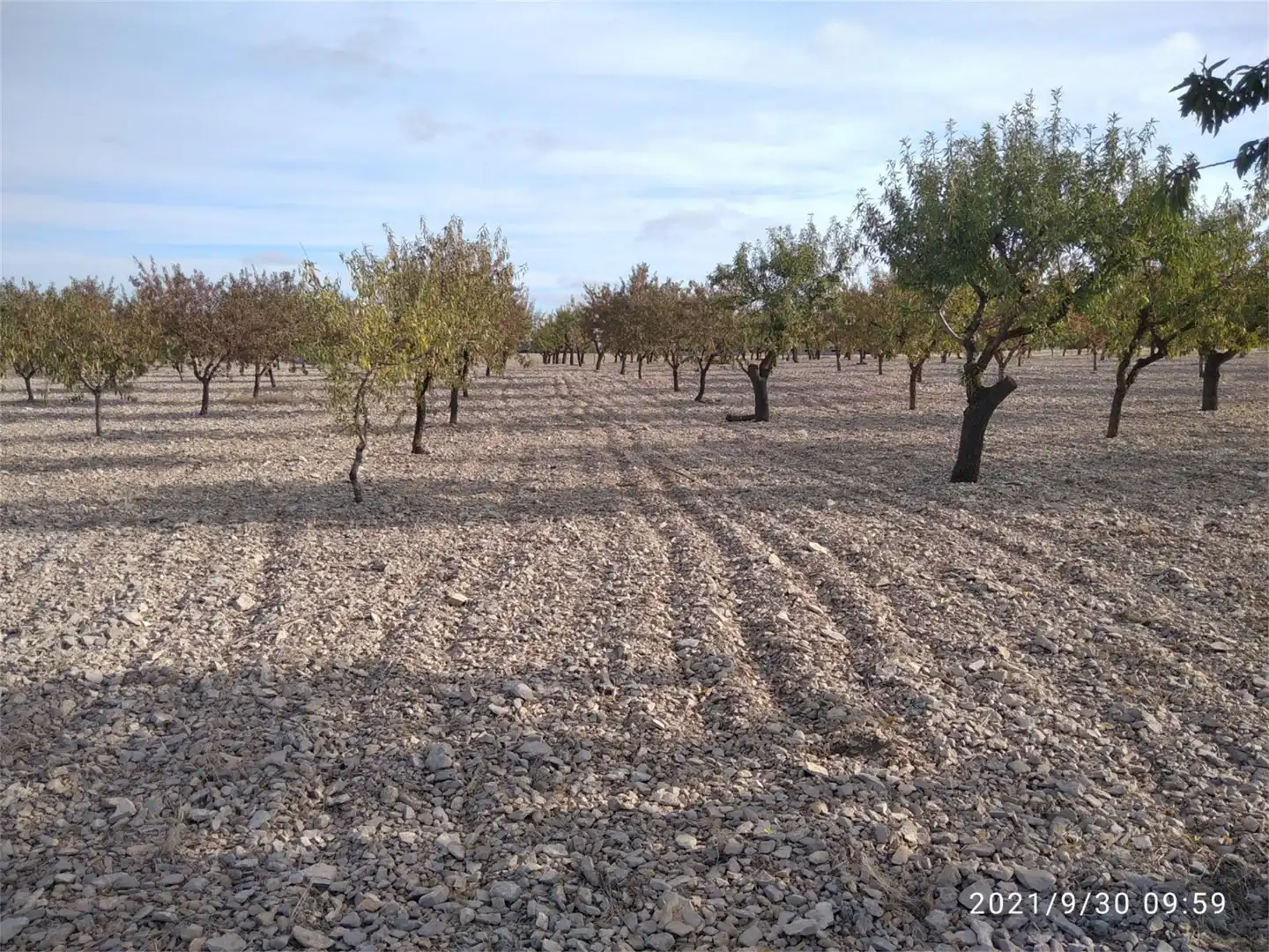 Land for sale in LV-2014, Maldà Land for sale in Maldà