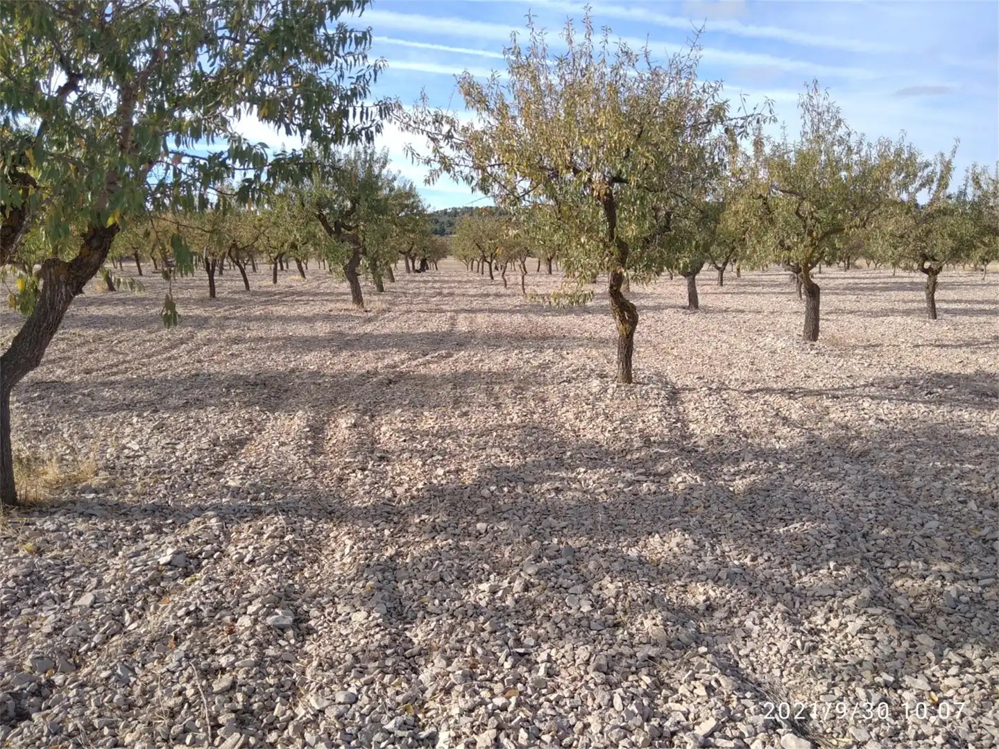 Land for sale in LV-2014, Maldà Land for sale in Maldà