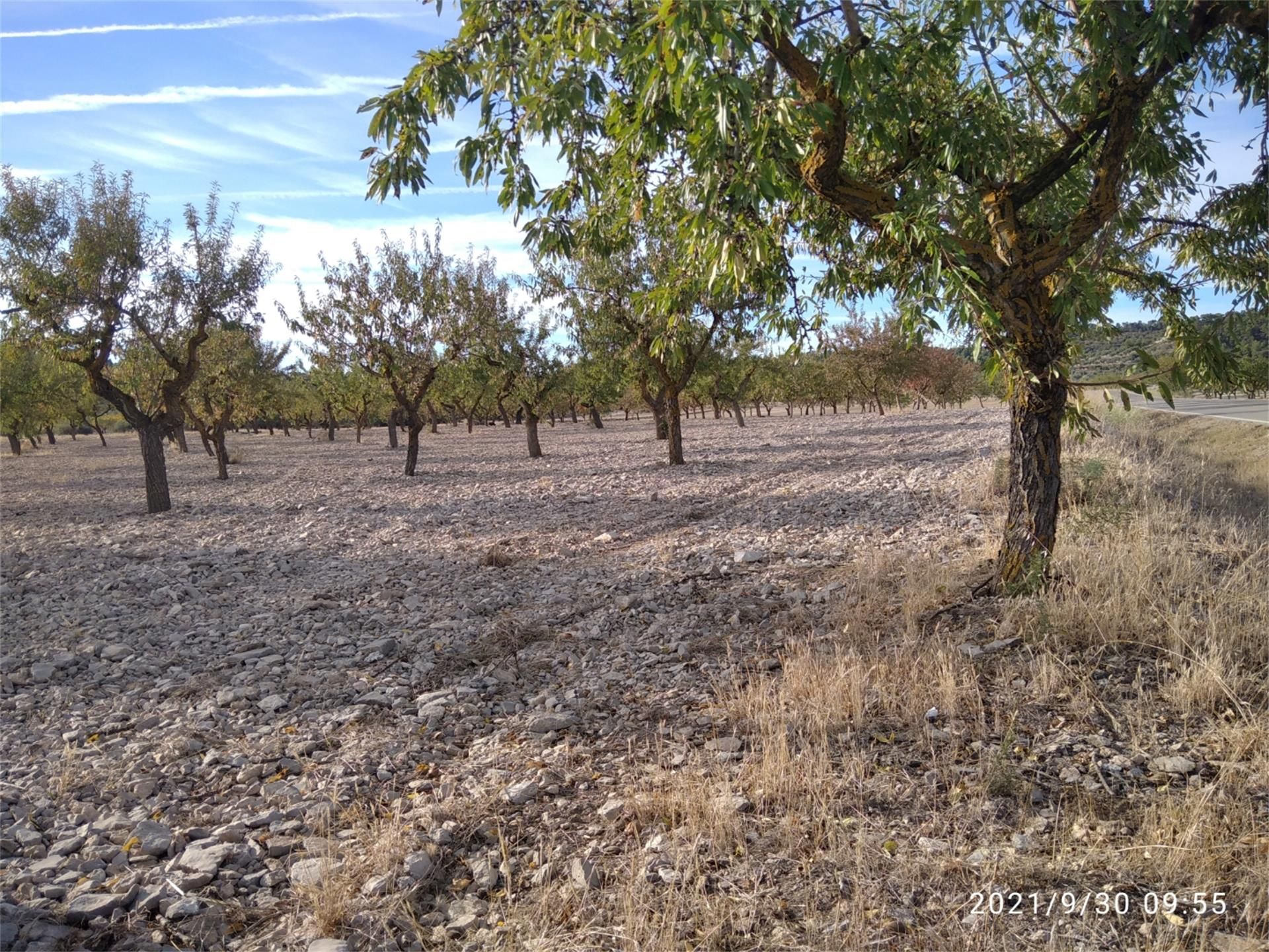 Land for sale in Maldà