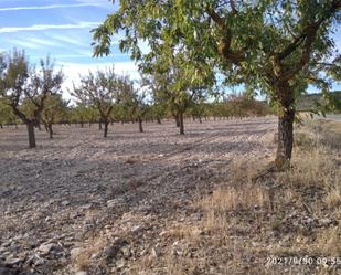 Land for sale in Maldà