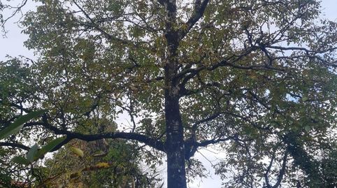 Foto 4 von Country house zum Verkauf in A Torre, Taboada, Lugo