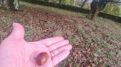 Foto 5 von Country house zum Verkauf in A Torre, Taboada, Lugo