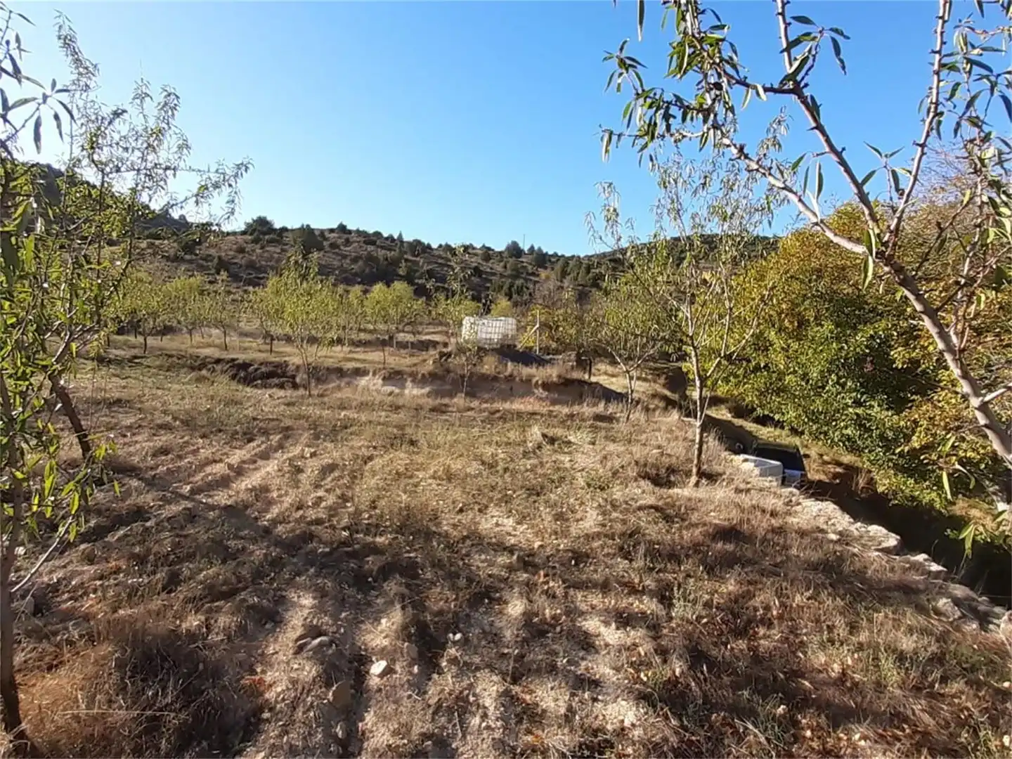 Terreno en venta en Algar de Mesa