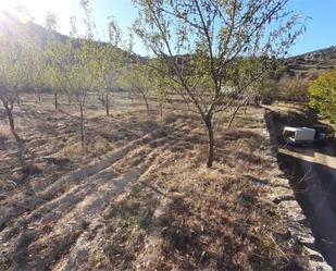 Land for sale in Algar de Mesa