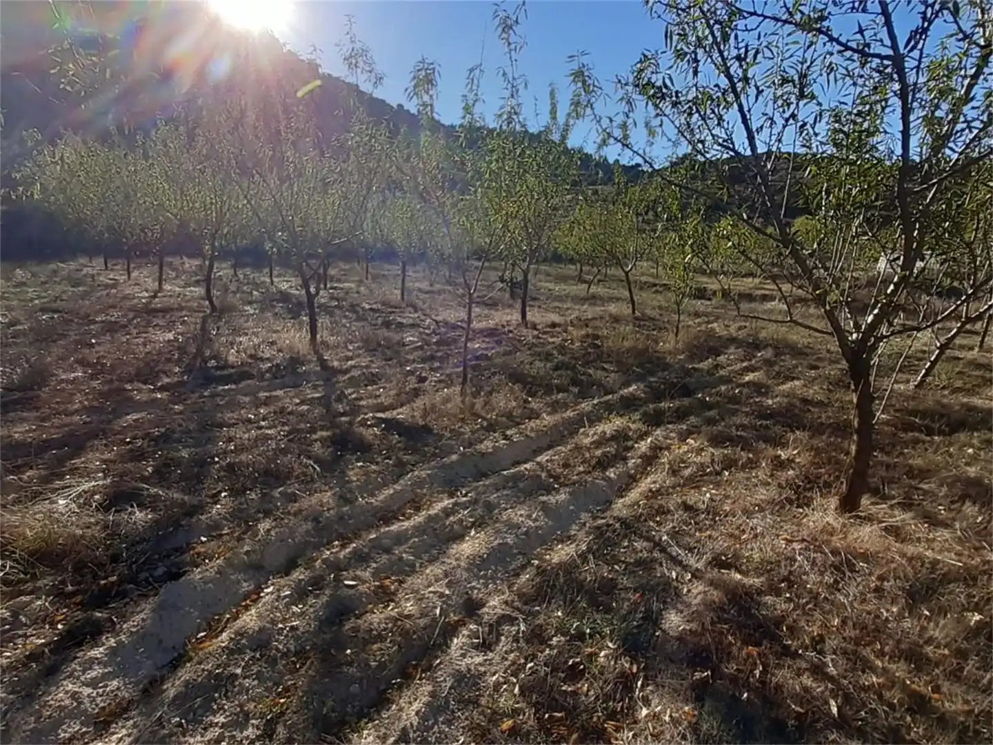 Terreno en venta en Algar de Mesa