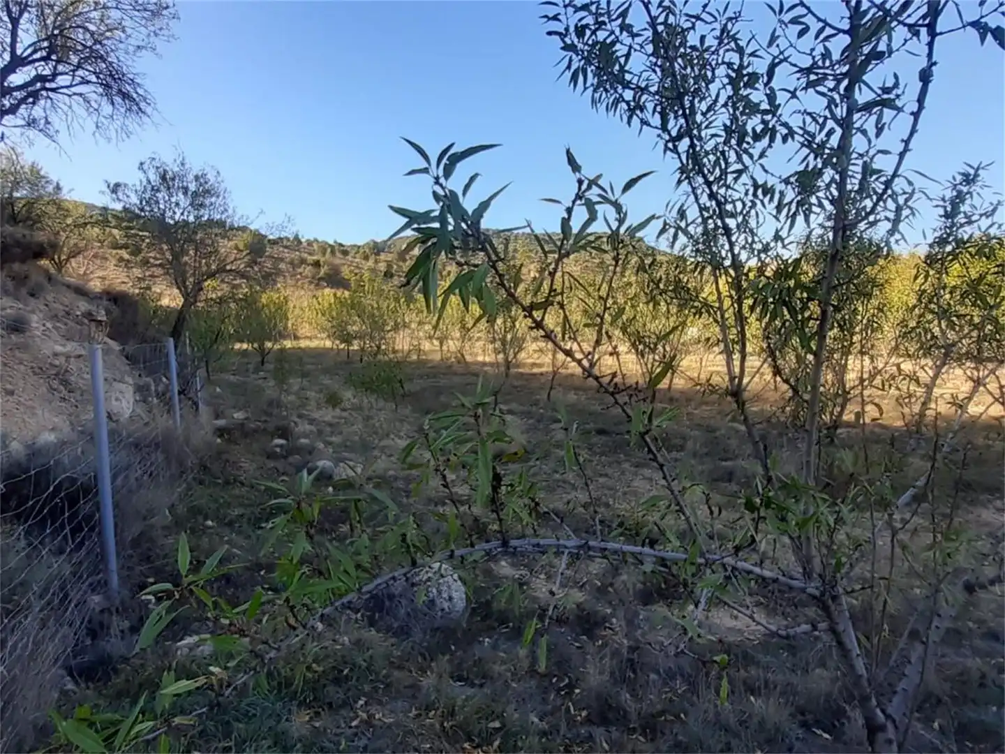 Terreno en venta en Algar de Mesa