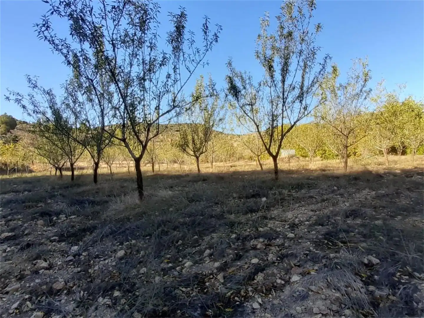 Terreno en venta en Algar de Mesa