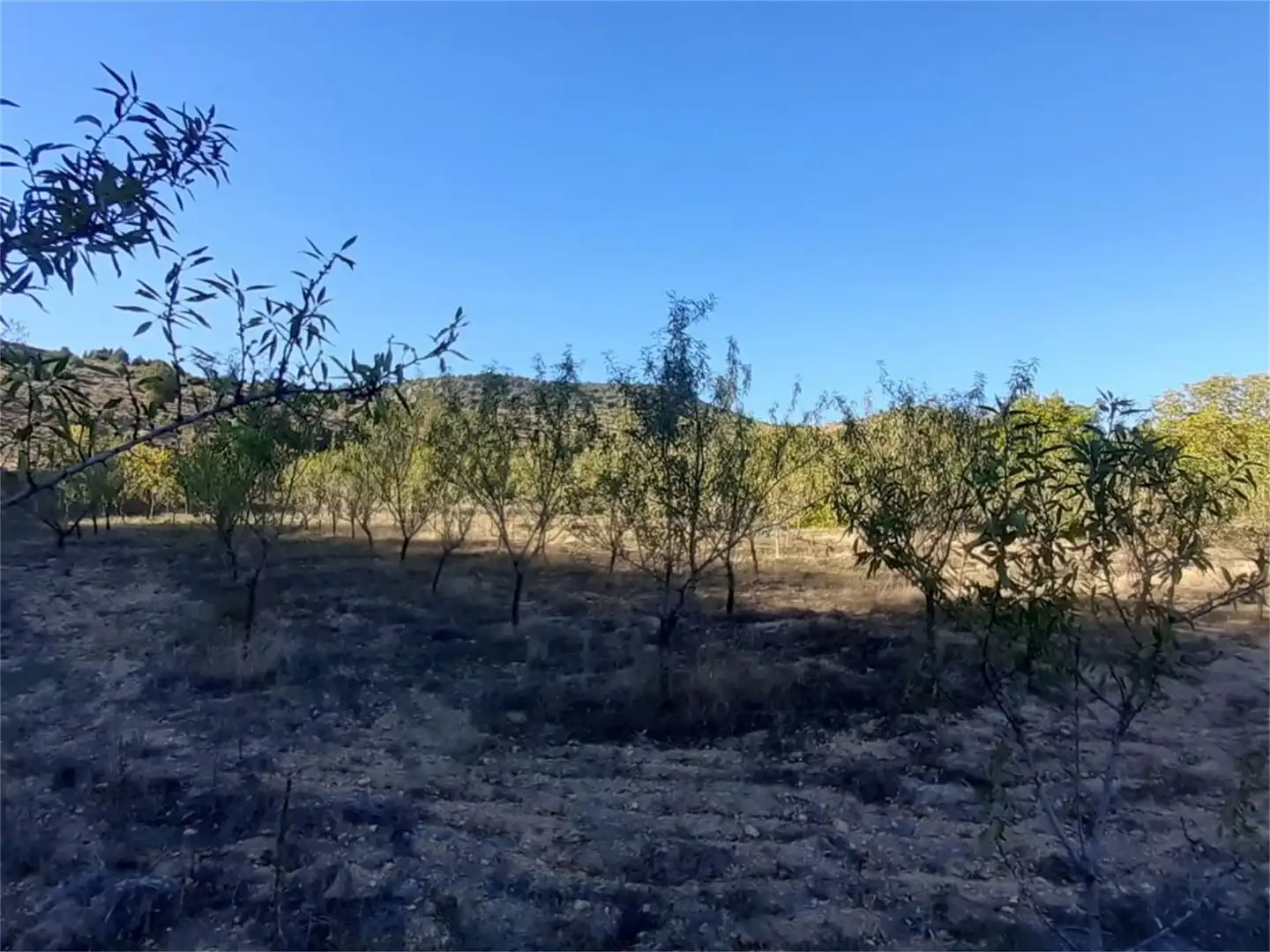 Terreno en venta en Algar de Mesa