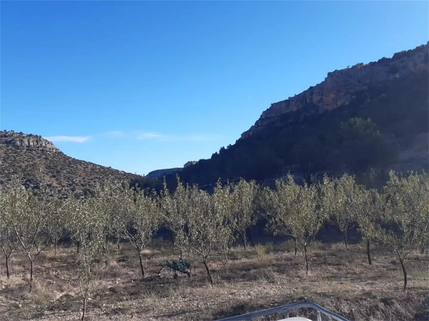 Terreno en venta en Algar de Mesa