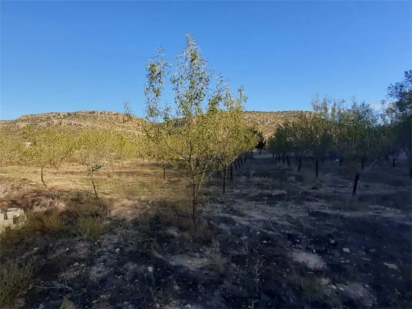 Terreno en venta en Algar de Mesa