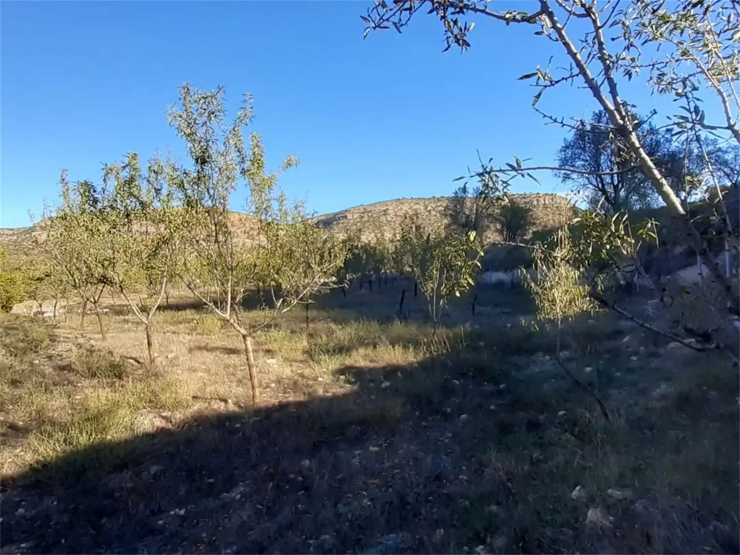 Terreno en venta en Algar de Mesa