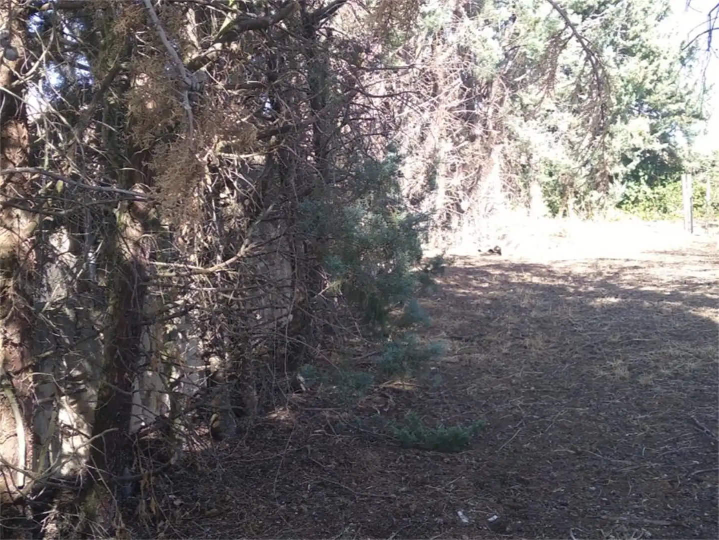 Land for sale in Los Huertos