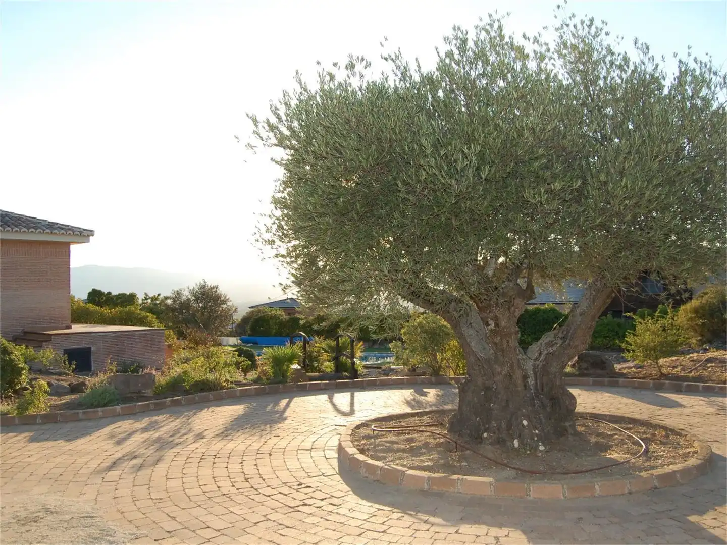 Casa o xalet en venda a Carrer Calle Arroyo del Osea, ., Fontenebro - Altavista Jardí de Casa o xalet en venda en Collado Villalba amb Terrassa, Piscina i Balcó