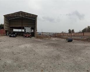 Industrial land for sale in San Roque
