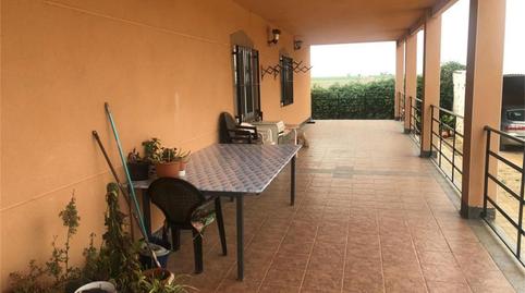 House or chalet for sale in Membrilla, Ciudad Real - image 3 Photo 3 of House or chalet for sale in Membrilla, Ciudad Real