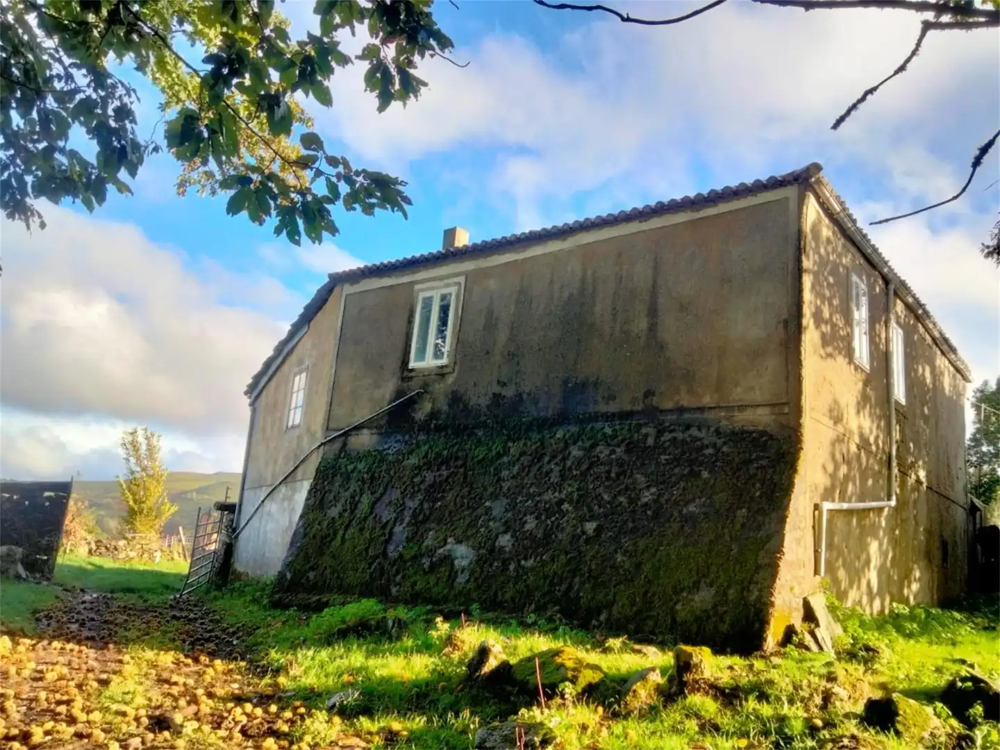 Vista exterior de Casa o xalet en venda en Montederramo amb Jardí privat i Terrassa