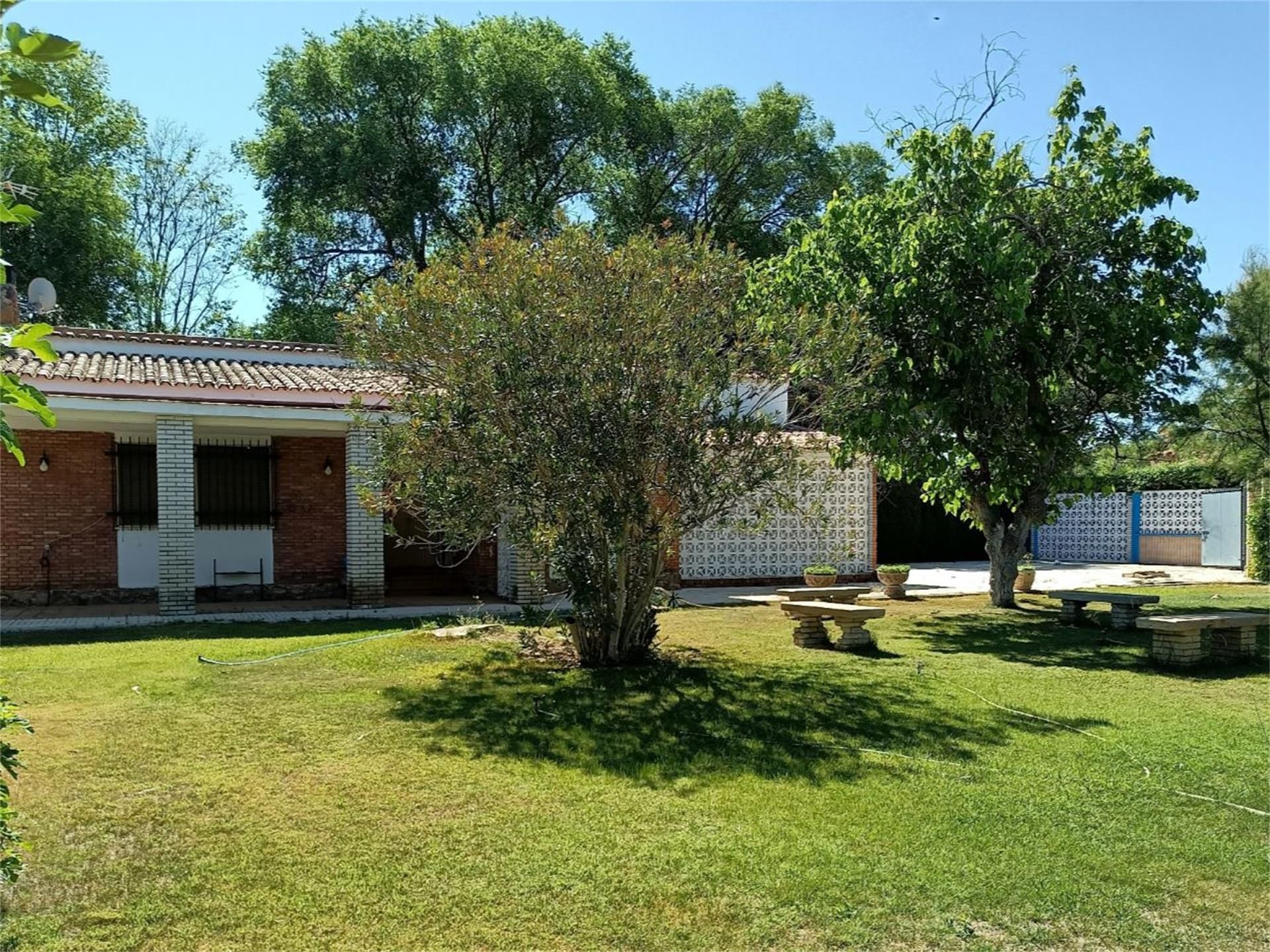 Jardí de Casa o xalet en venda en Argamasilla de Calatrava amb Aire condicionat i Piscina