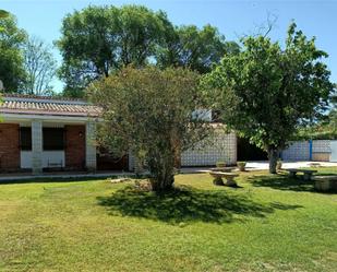 Jardí de Casa o xalet en venda en Argamasilla de Calatrava amb Aire condicionat i Piscina