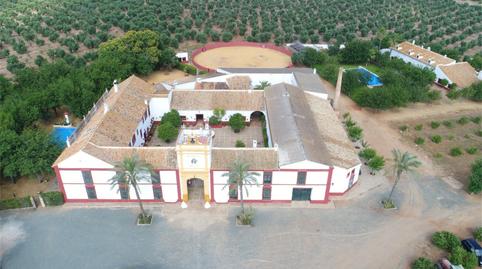 Foto 2 de Finca rústica en venta en Carretera Carmona Guadajoz, Carmona, Sevilla
