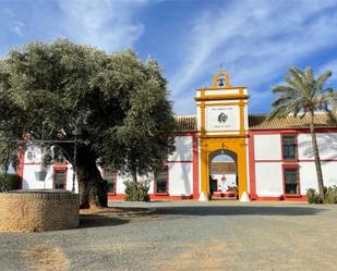 Vista exterior de Finca rústica en venda en Carmona amb Aire condicionat, Piscina i Balcó