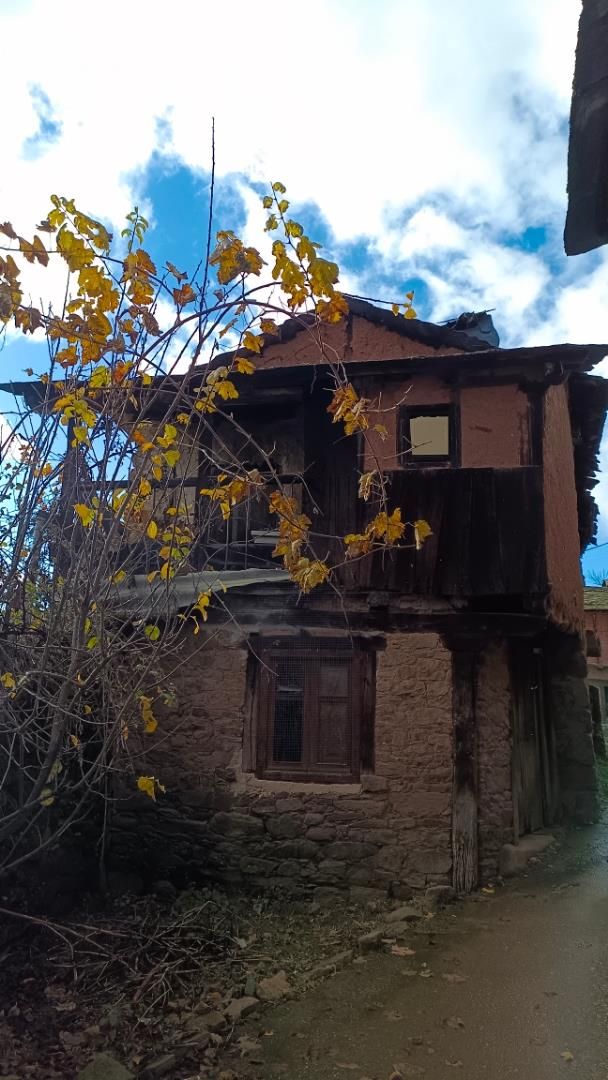 Vista exterior de Casa o xalet en venda en Bembibre amb Jardí privat i Balcó