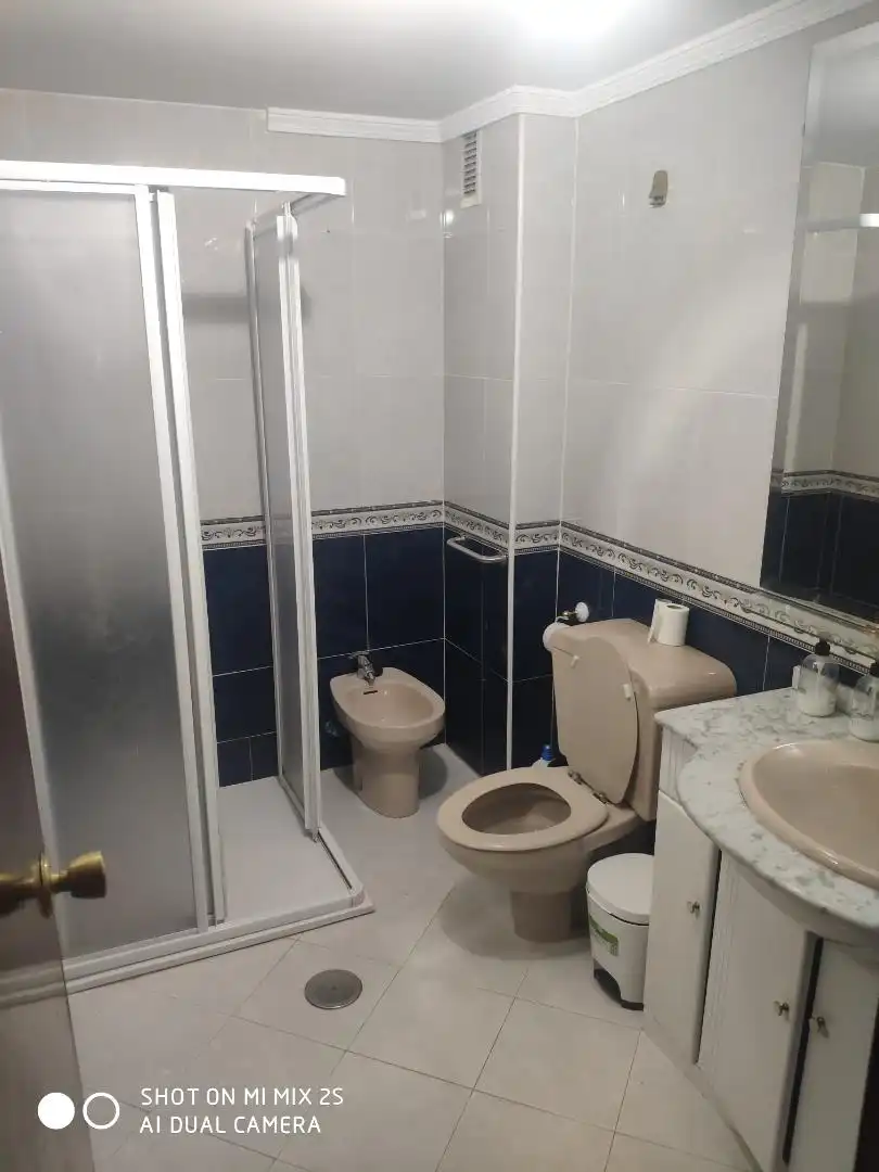 Flat for rent in Calle Profesor Manuel Garzón Pareja, 1, Castaño - Mirasierra Bathroom of Flat for rent in Granada Capital with Air Conditioner