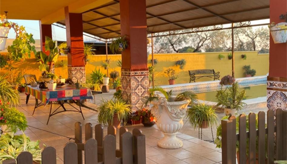 Finca rústica en venta en Camino Dehesa del Rey, Coria del Río, Sevilla - imagen 1 Foto 1 de Finca rústica en venta en Camino Dehesa del Rey, Coria del Río, Sevilla