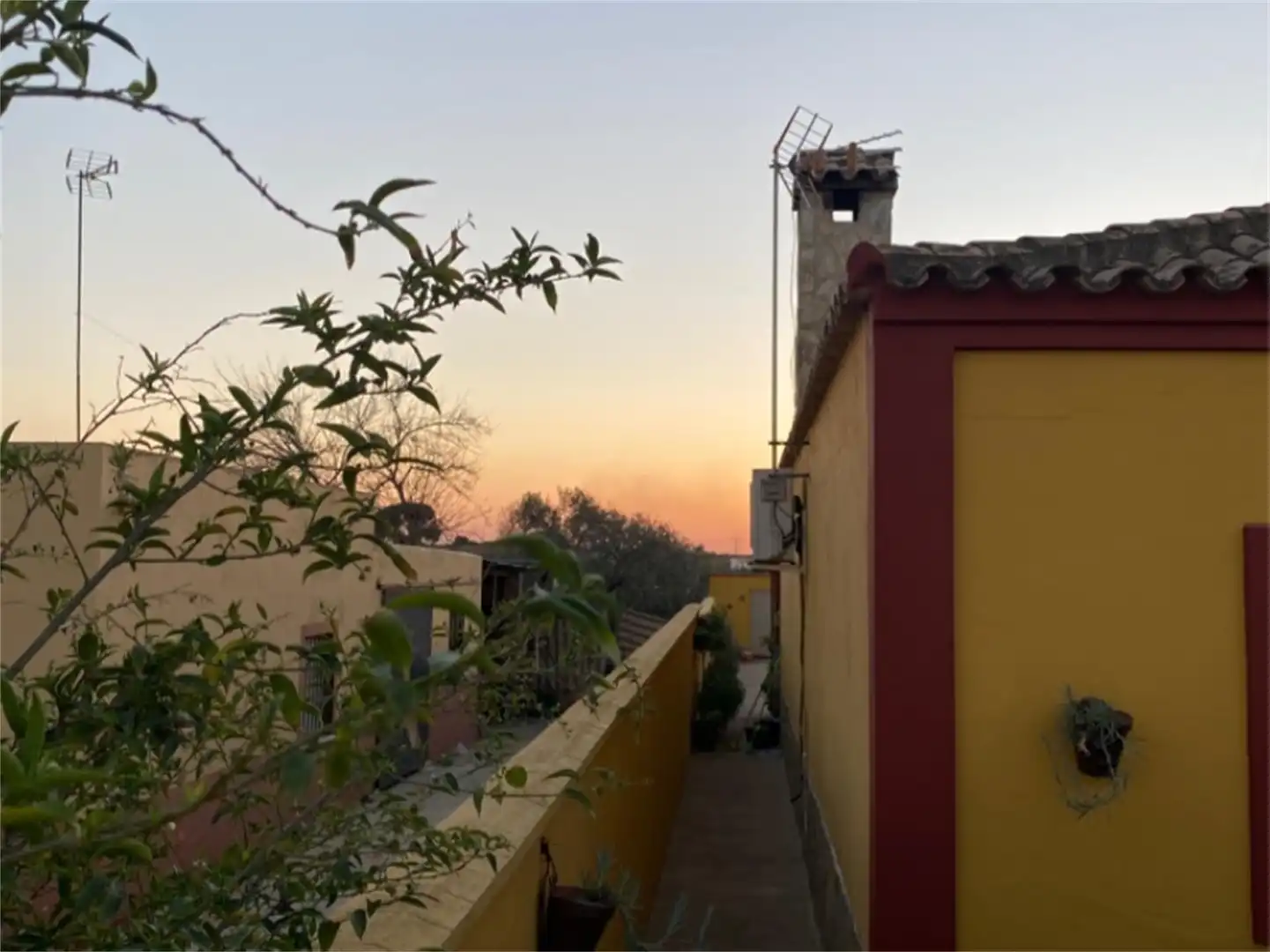 Außenansicht von Country house zum Verkauf in Coria del Río mit Klimaanlage, Heizung und Privatgarten