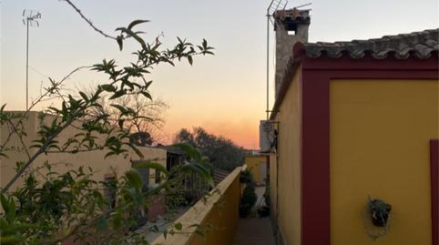 Finca rústica en venta en Camino Dehesa del Rey, Coria del Río, Sevilla - imagen 5 Foto 5 de Finca rústica en venta en Camino Dehesa del Rey, Coria del Río, Sevilla