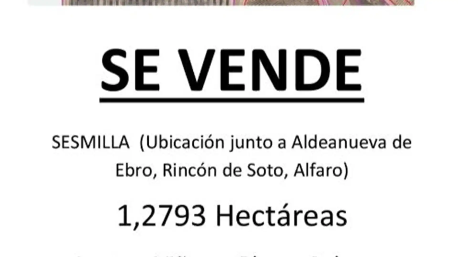 Vista exterior de Terreno en venta en Alfaro