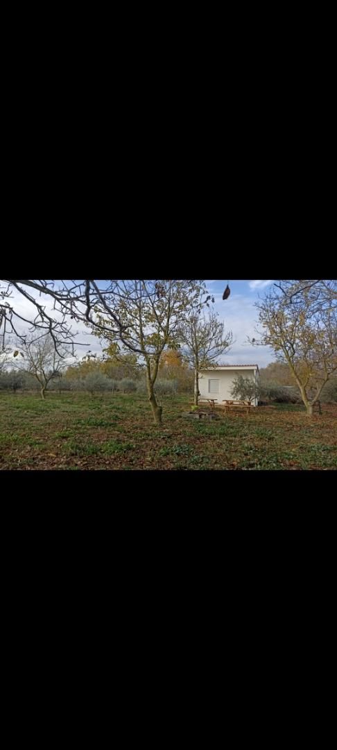 Land for sale in Pitillas