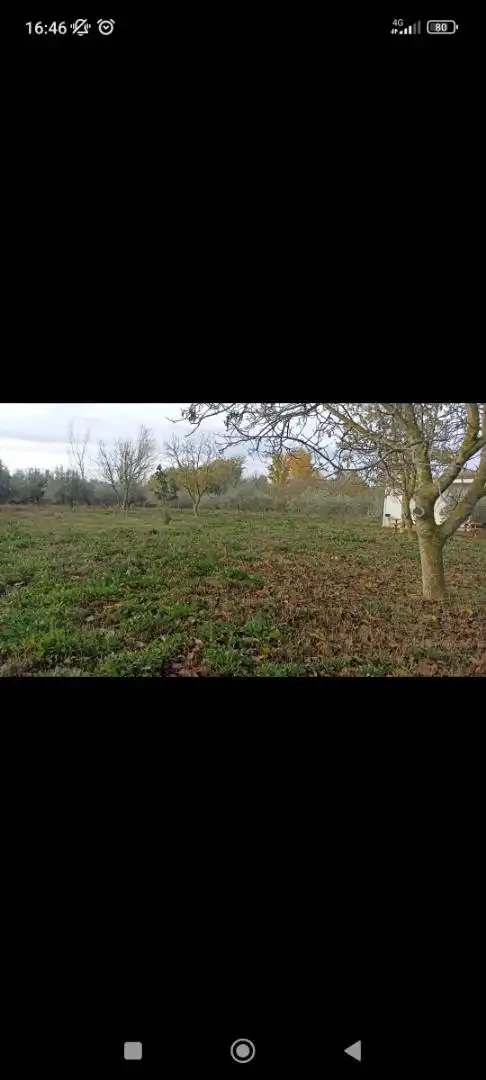 Land for sale in Pitillas