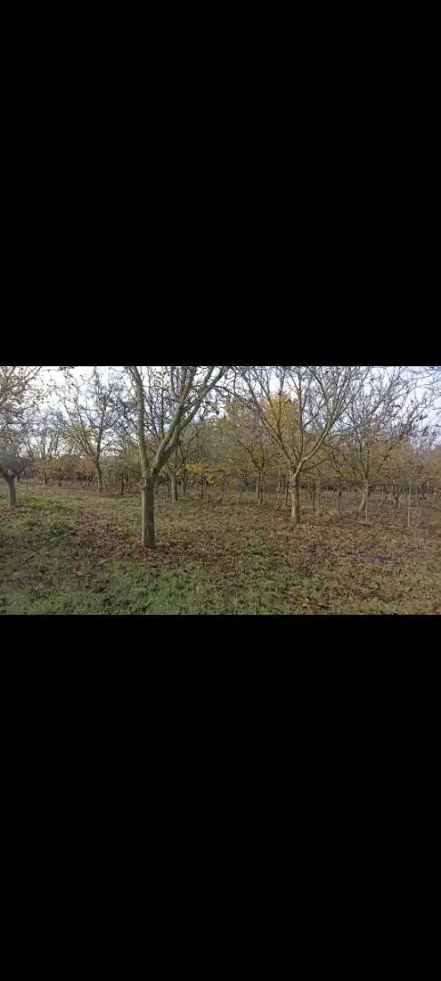 Land for sale in Pitillas