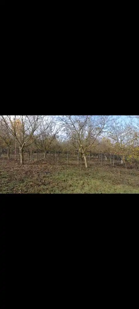 Land for sale in Pitillas