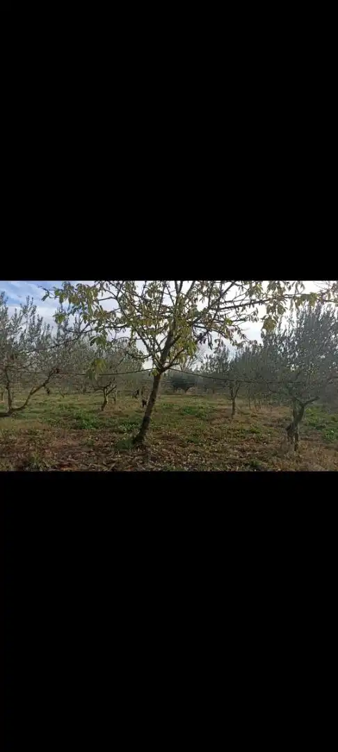 Land for sale in Pitillas