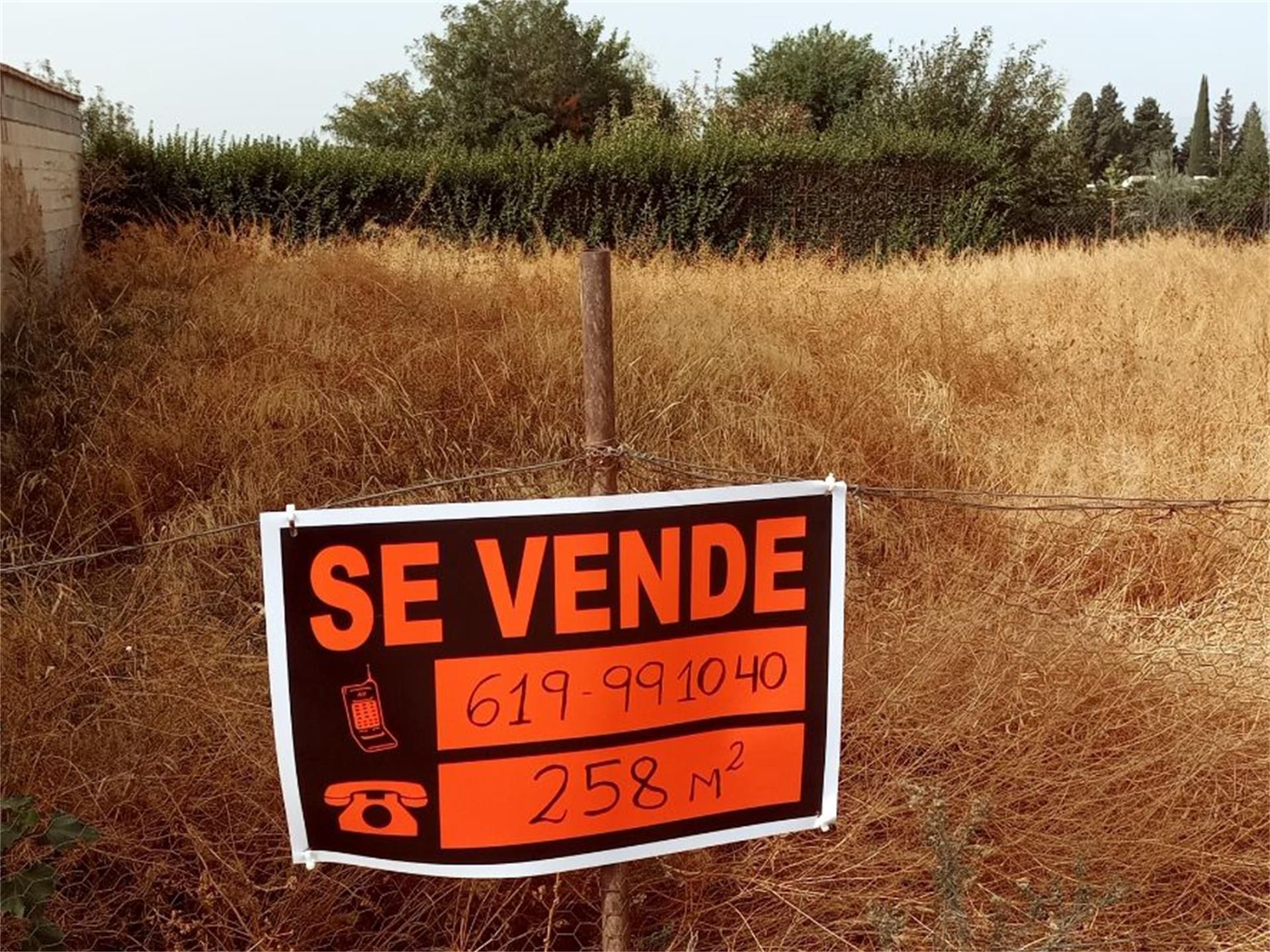 Constructible Land for sale in Vegas del Genil
