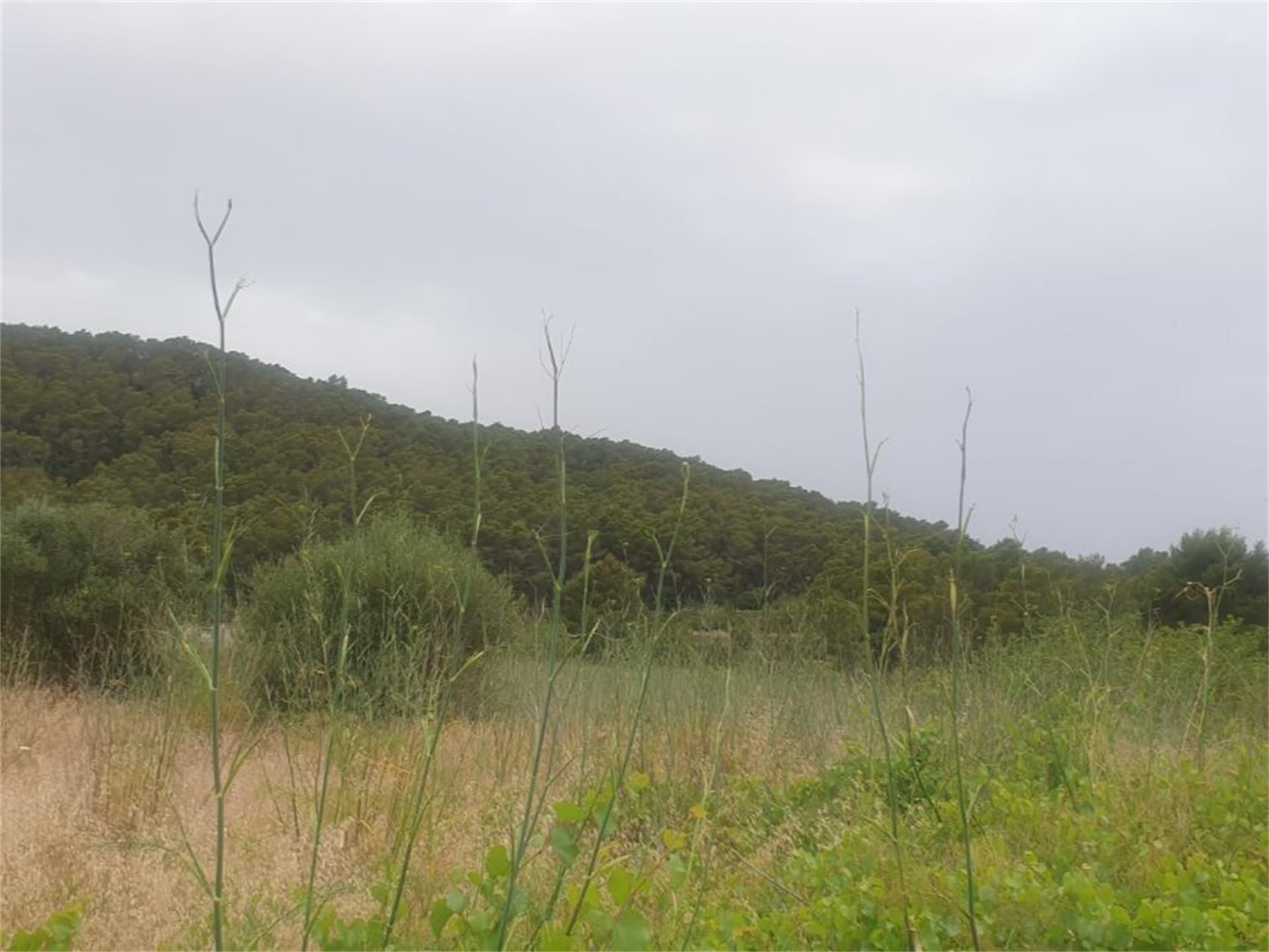 Finca rústica en venda en Eivissa