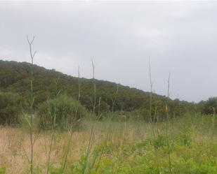 Finca rústica en venda en Eivissa