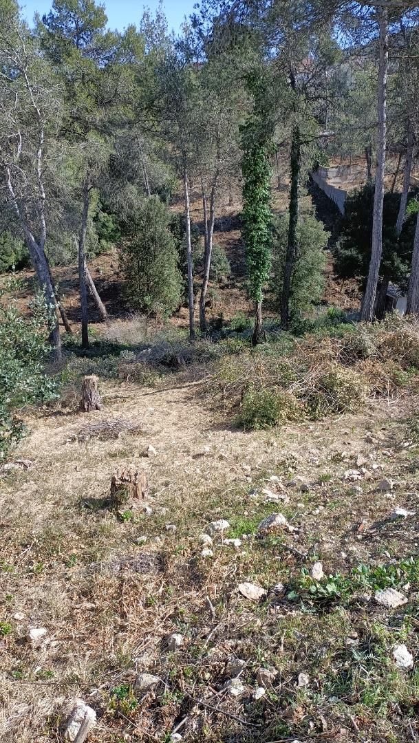 Terreno en venta en Olesa de Bonesvalls