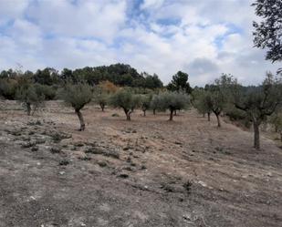 Land for sale in Maldà