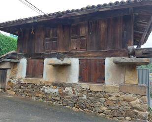 Vista exterior de Planta baixa en venda en Laviana