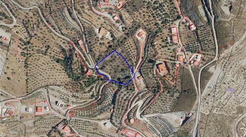 Non-constructible Land for sale in Camino de Lagos, Vélez de Benaudalla, Granada - image 3 Photo 3 of Non-constructible Land for sale in Camino de Lagos, Vélez de Benaudalla, Granada
