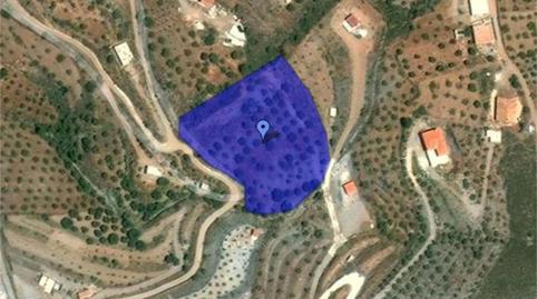 Non-constructible Land for sale in Camino de Lagos, Vélez de Benaudalla, Granada - image 4 Photo 4 of Non-constructible Land for sale in Camino de Lagos, Vélez de Benaudalla, Granada