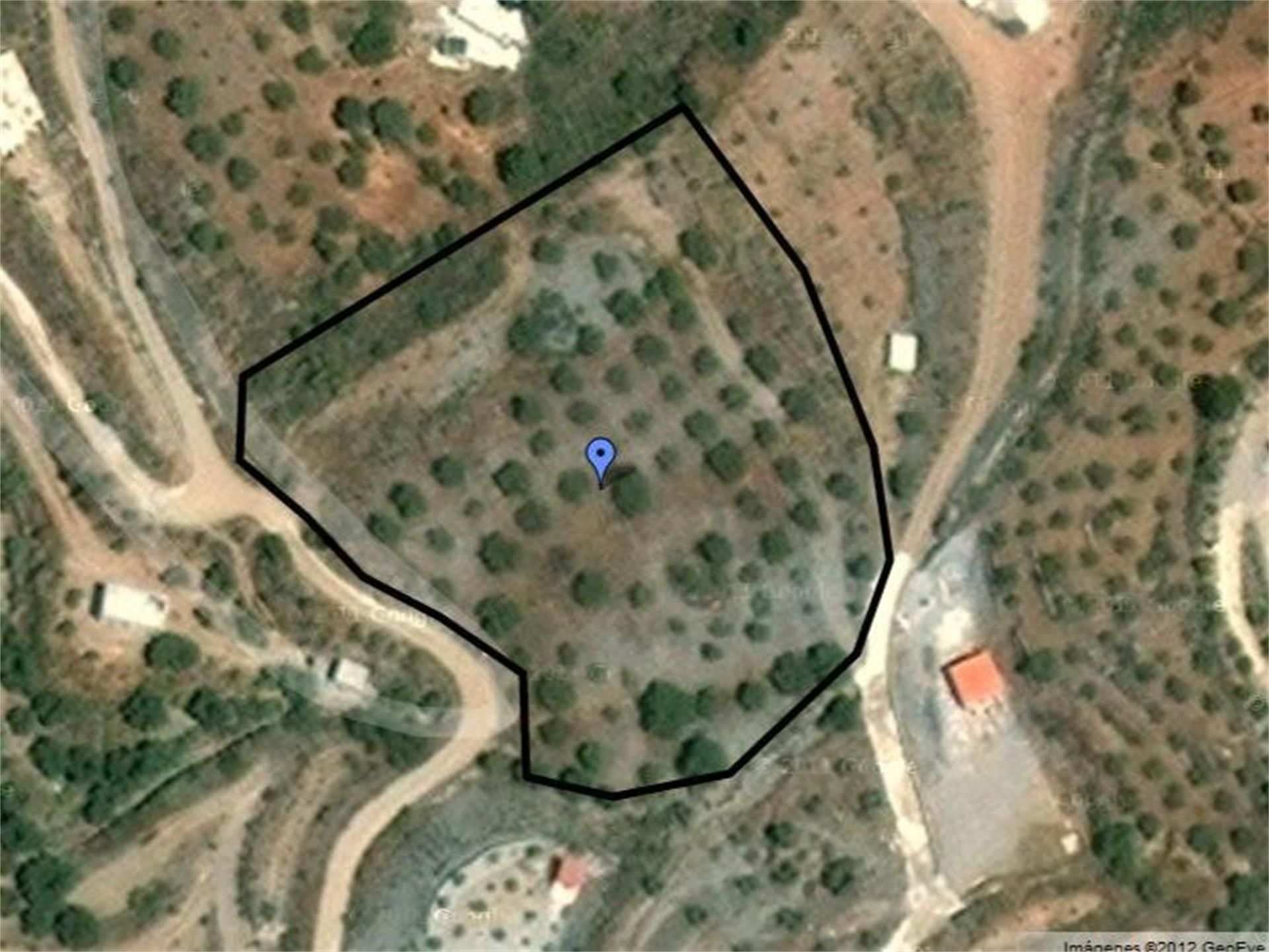 Non-constructible Land for sale in Vélez de Benaudalla