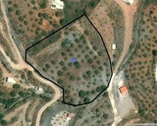 Non-constructible Land for sale in Vélez de Benaudalla