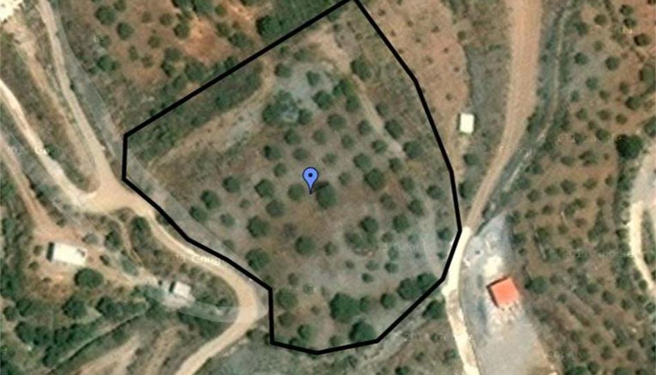 Non-constructible Land for sale in Camino de Lagos, Vélez de Benaudalla, Granada - image 1 Photo 1 of Non-constructible Land for sale in Camino de Lagos, Vélez de Benaudalla, Granada