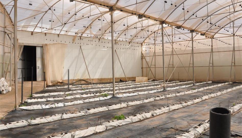 Country house for sale in Calle el Calvario, La Aldea de San Nicolás , Las Palmas - image 1 Photo 1 of Country house for sale in Calle el Calvario, La Aldea de San Nicolás , Las Palmas