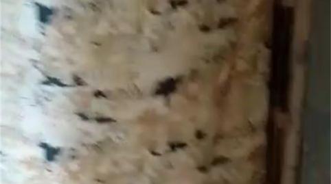 House or chalet for sale in Calle Cementerio, Magaz de Cepeda, León - image 3 Photo 3 of House or chalet for sale in Calle Cementerio, Magaz de Cepeda, León