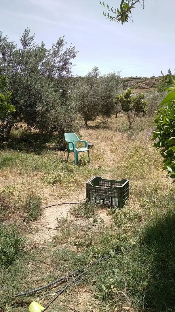 Finca rústica en venda a Calle de Los Médicos Rodríguez E Ibáñez, 30, Alhama de Almería Finca rústica en venda en Alhama de Almería